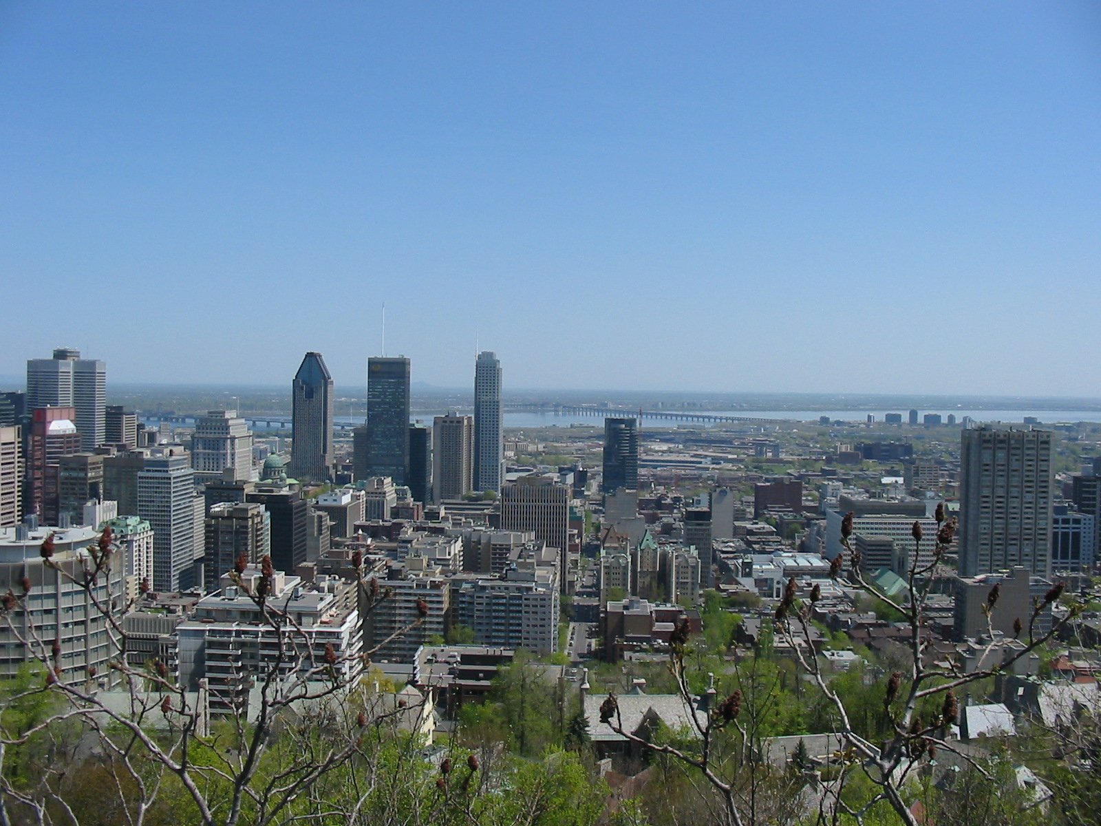 the city is very tall and the green trees are in front