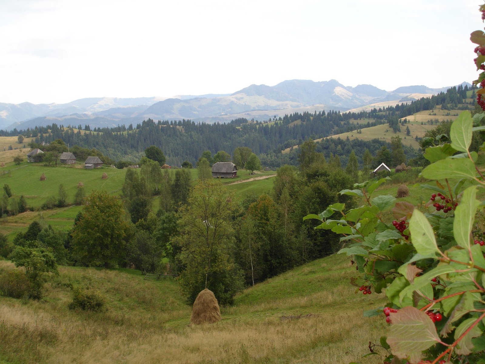 some very pretty hills with a big grassy field