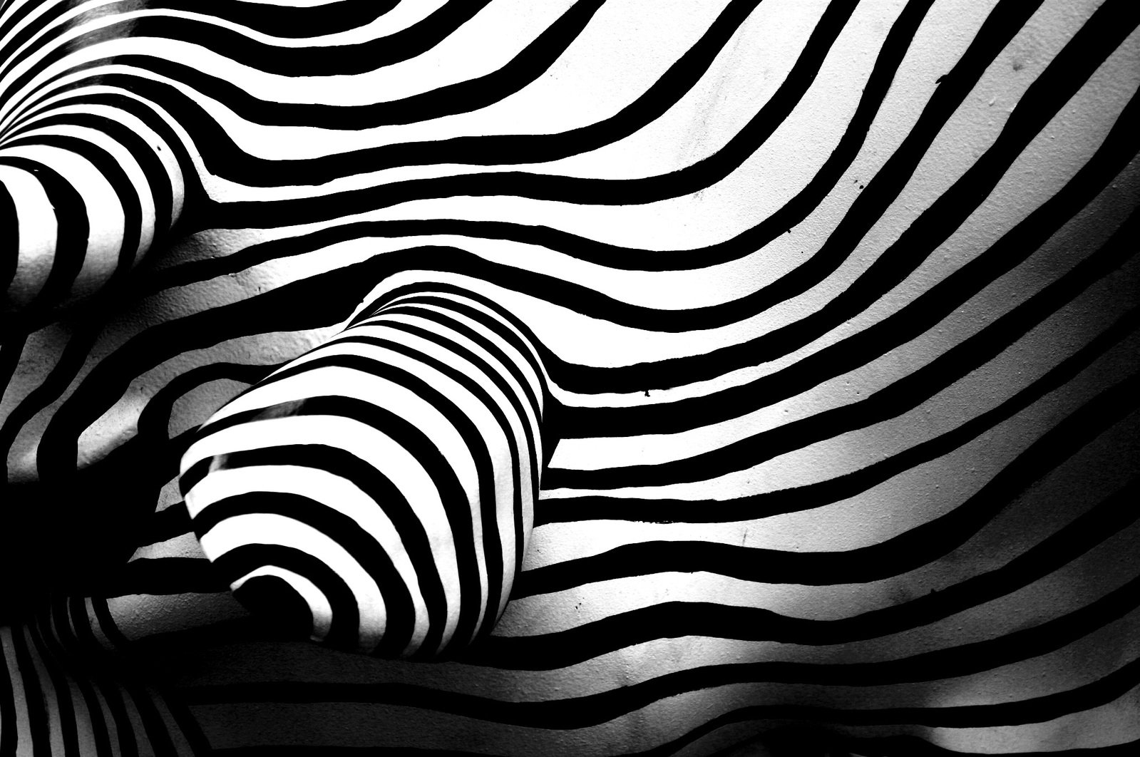 zes black and white stripes in an image