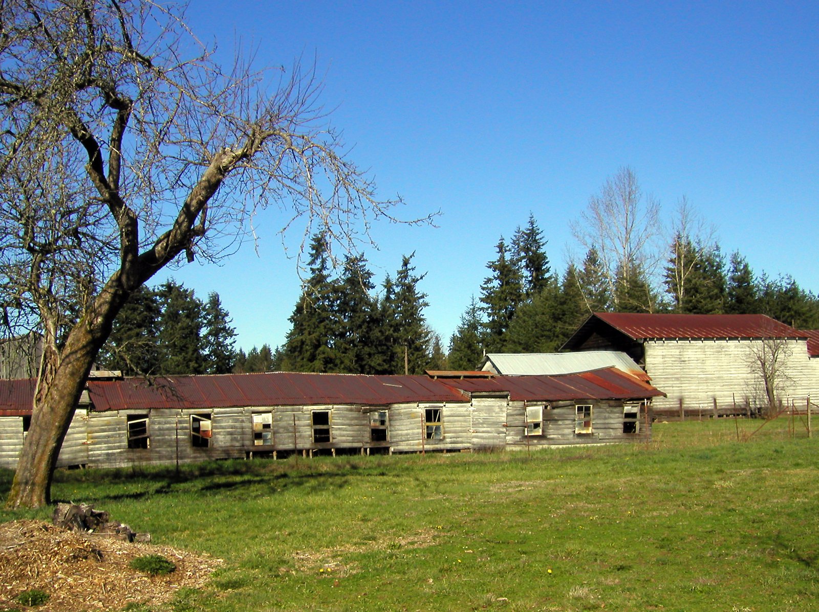 an old barn sits in the middle of a field