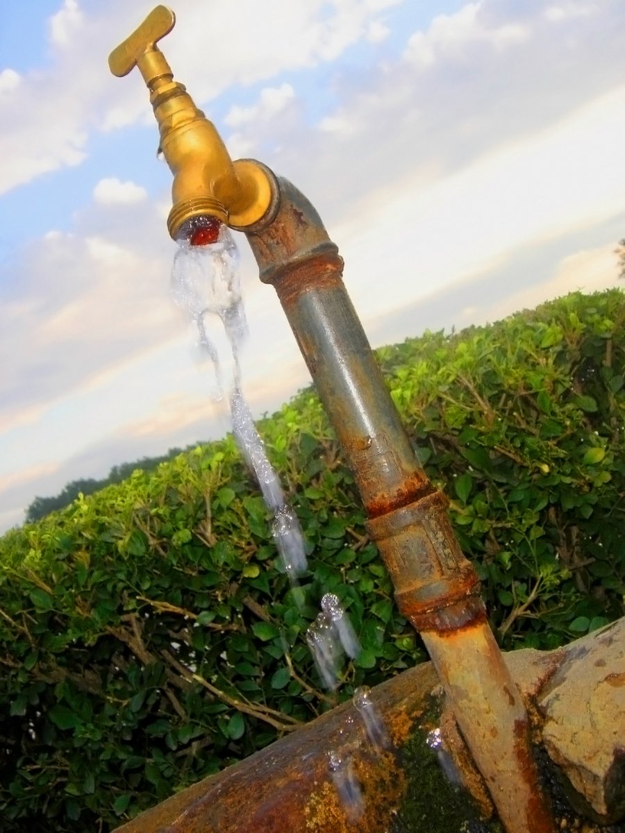a golden faucet spewing water into a green garden