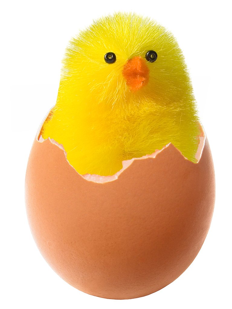 a yellow chicken sitting inside of an egg