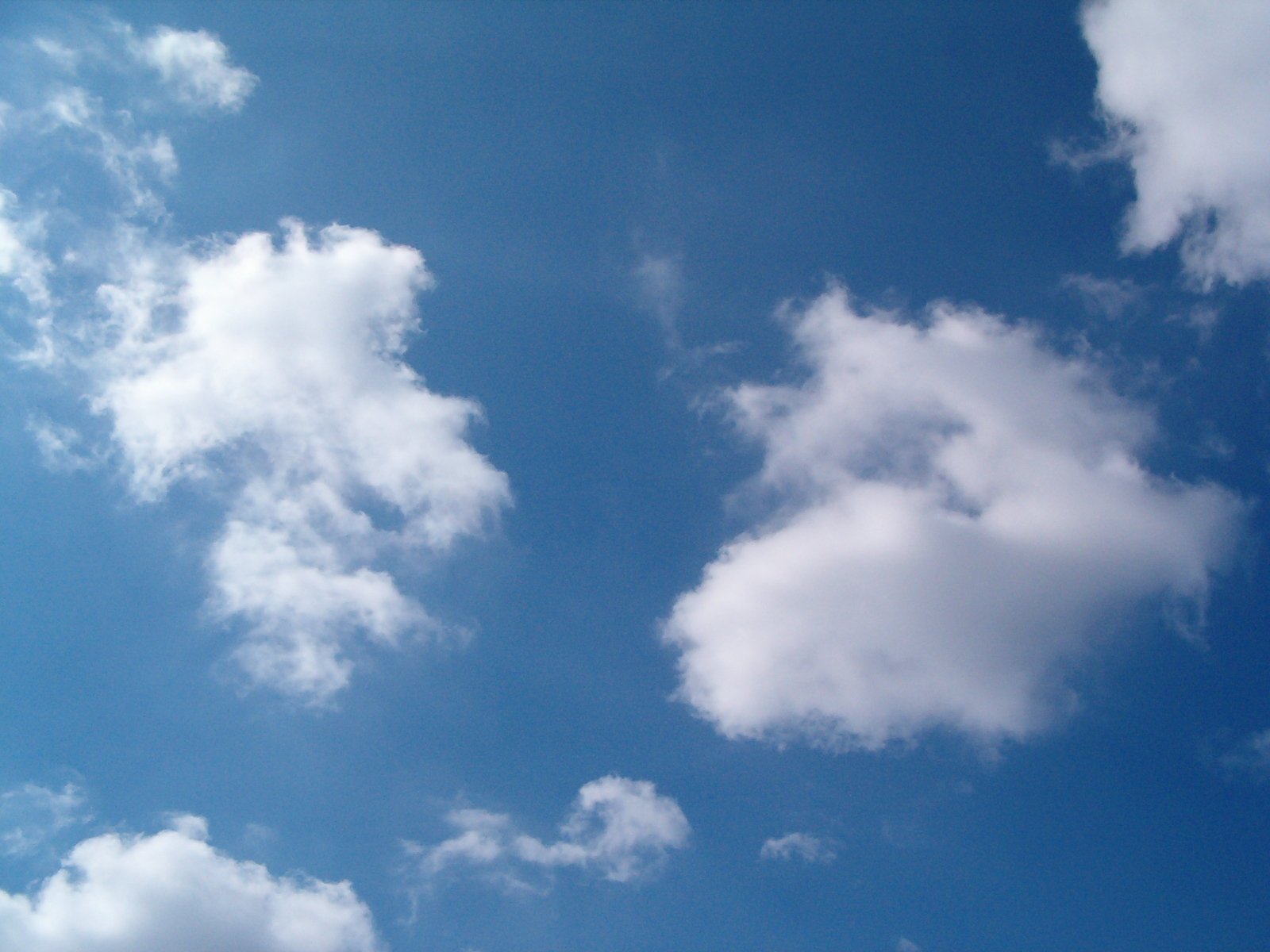 a lone bird is flying by in the blue sky