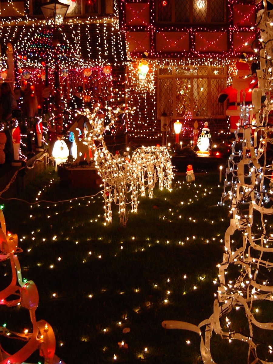 a house with a lot of christmas lights all over the front yard