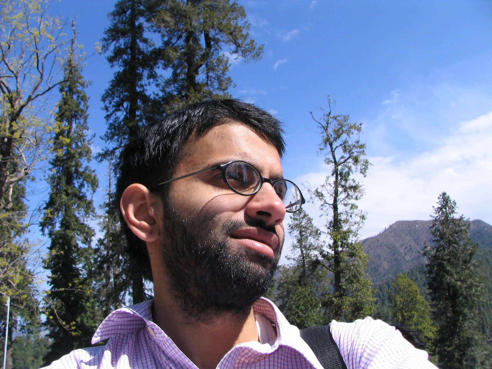 man with sunglasses in a park looking up to the sky