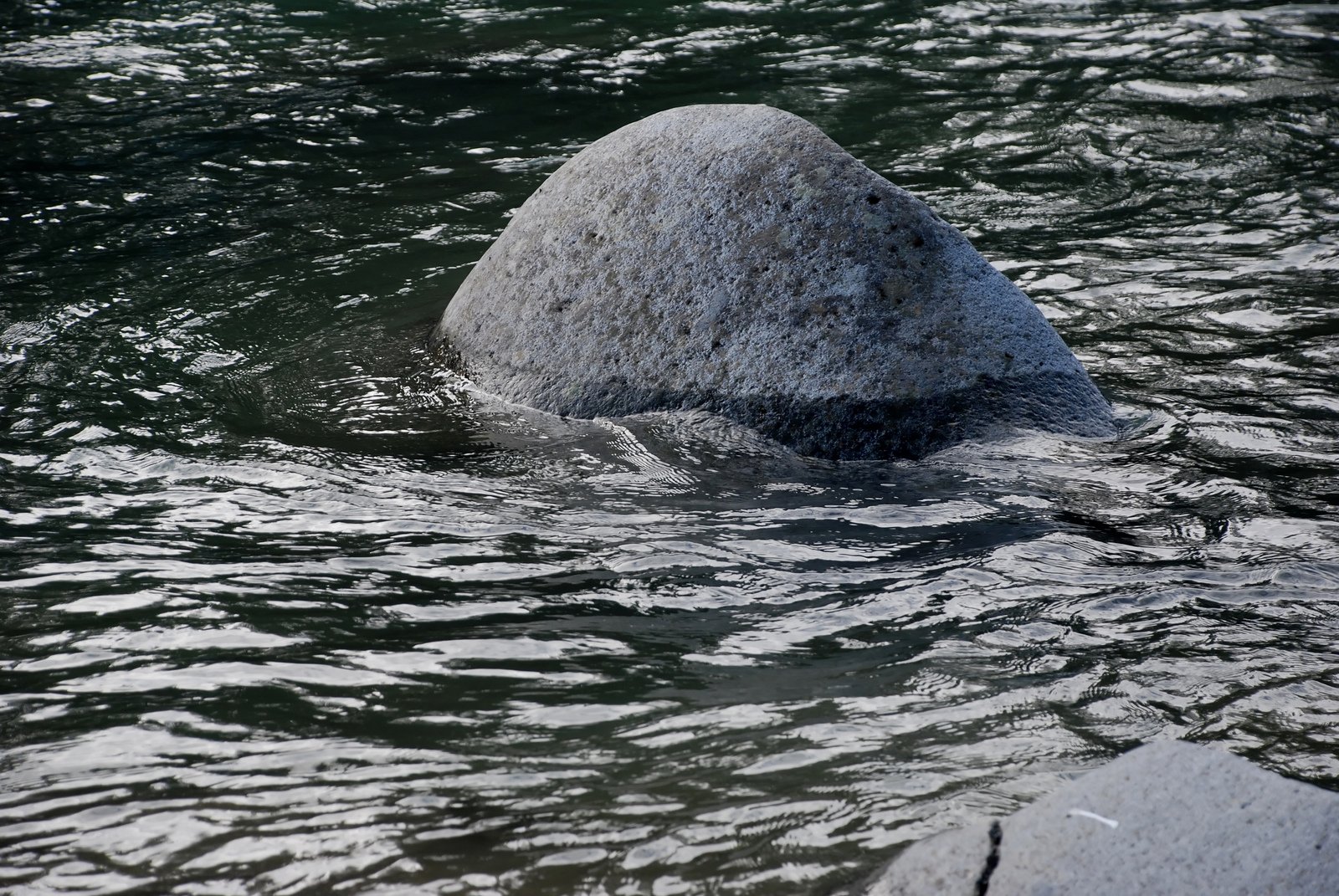 large stone in lake with ripples, in daylight