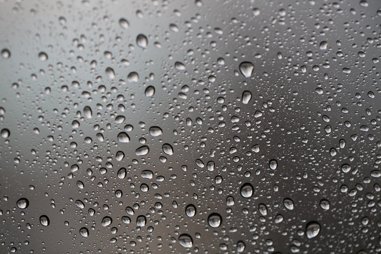 rain drops are on the surface of the window