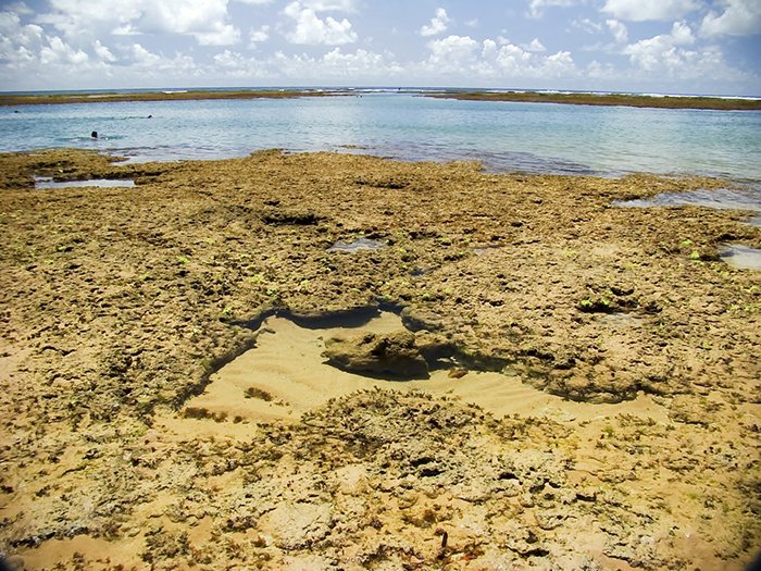 sand with an animal face and a body of water