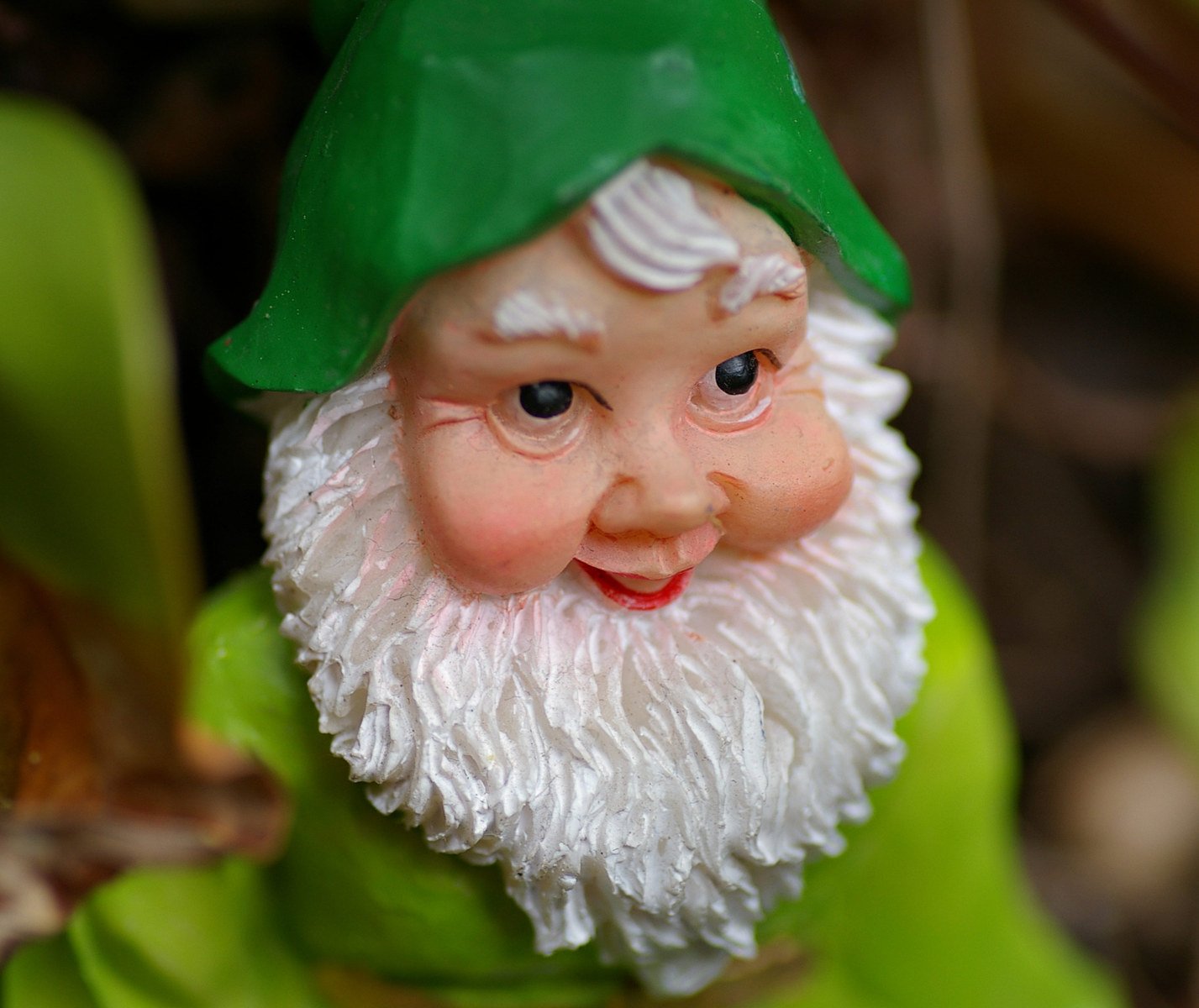a close up of a garden gnome with green foliage