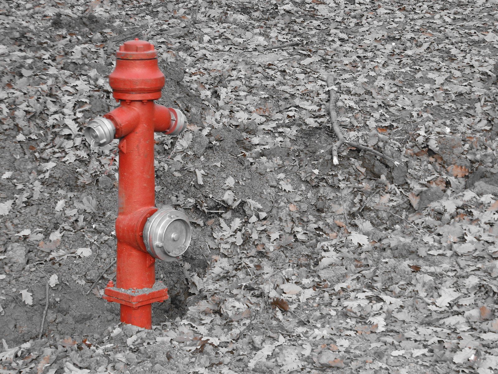 an image of a fire hydrant that is painted red