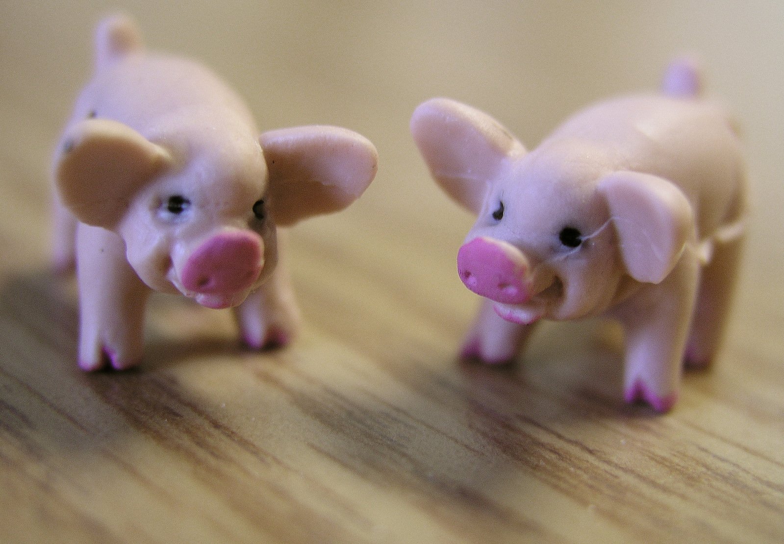 two toy pigs stand on the ground in close up