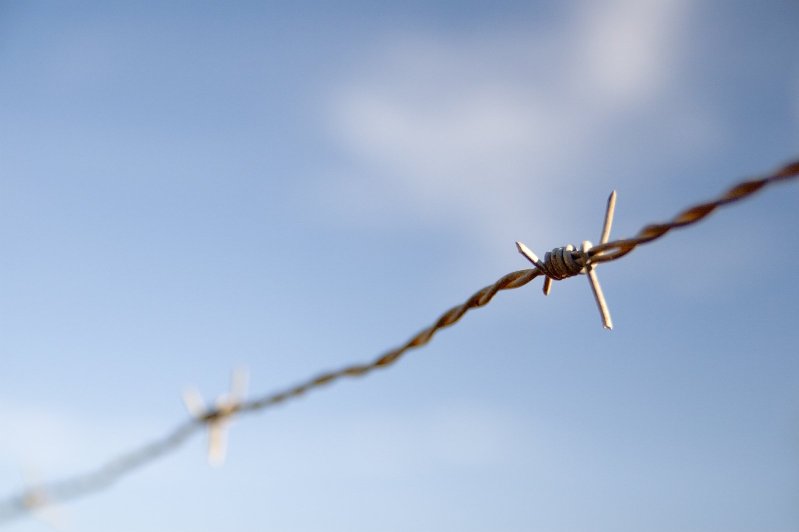 a very long barb wire hanging from a fence