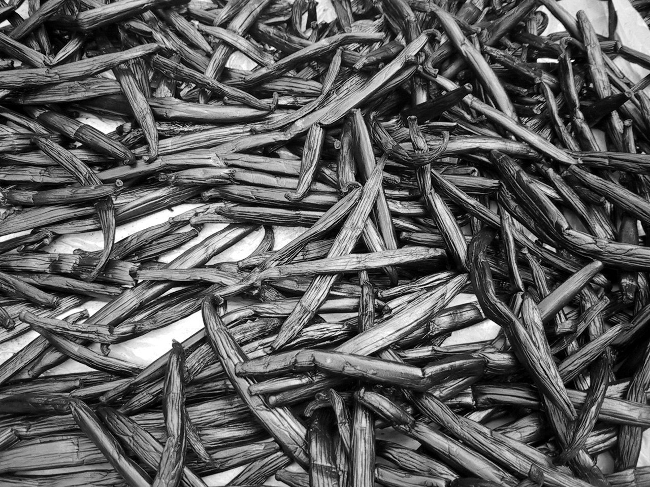 sticks piled together in the form of an insect bed