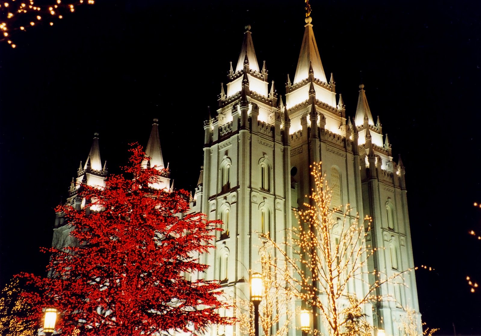 a very pretty cathedral lit up at night
