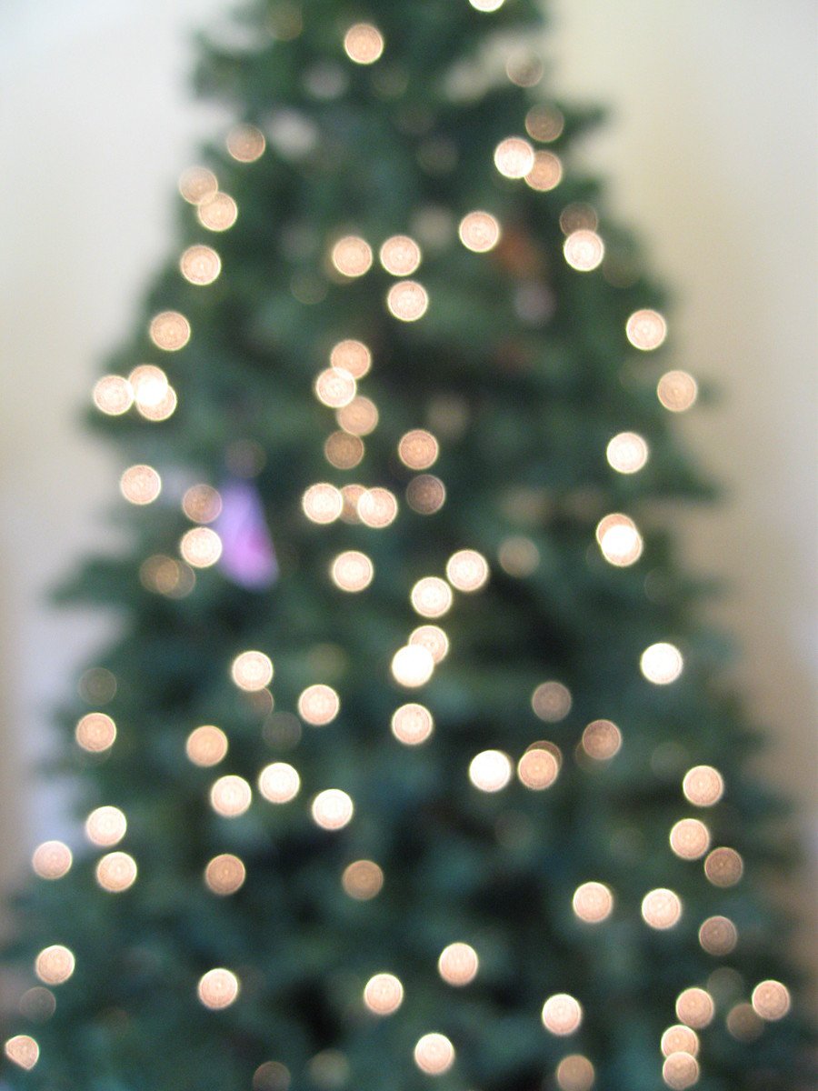 a christmas tree decorated with lights in the background