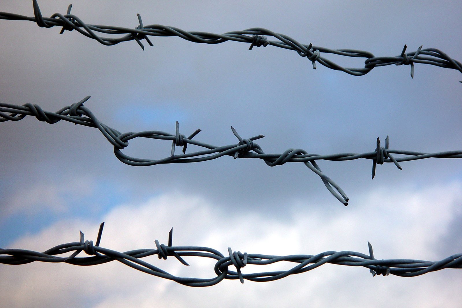 barbed wire fence with two birds sitting on top