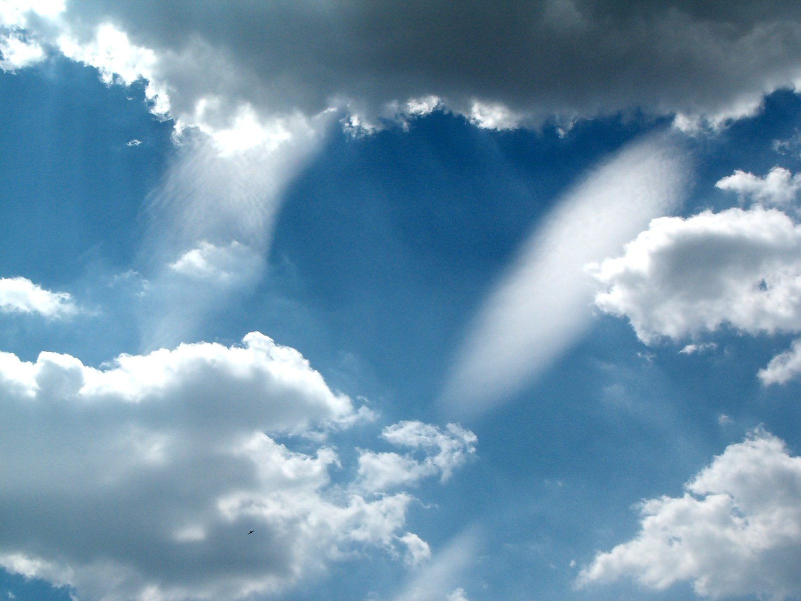 clouds are shaped like a flying bird