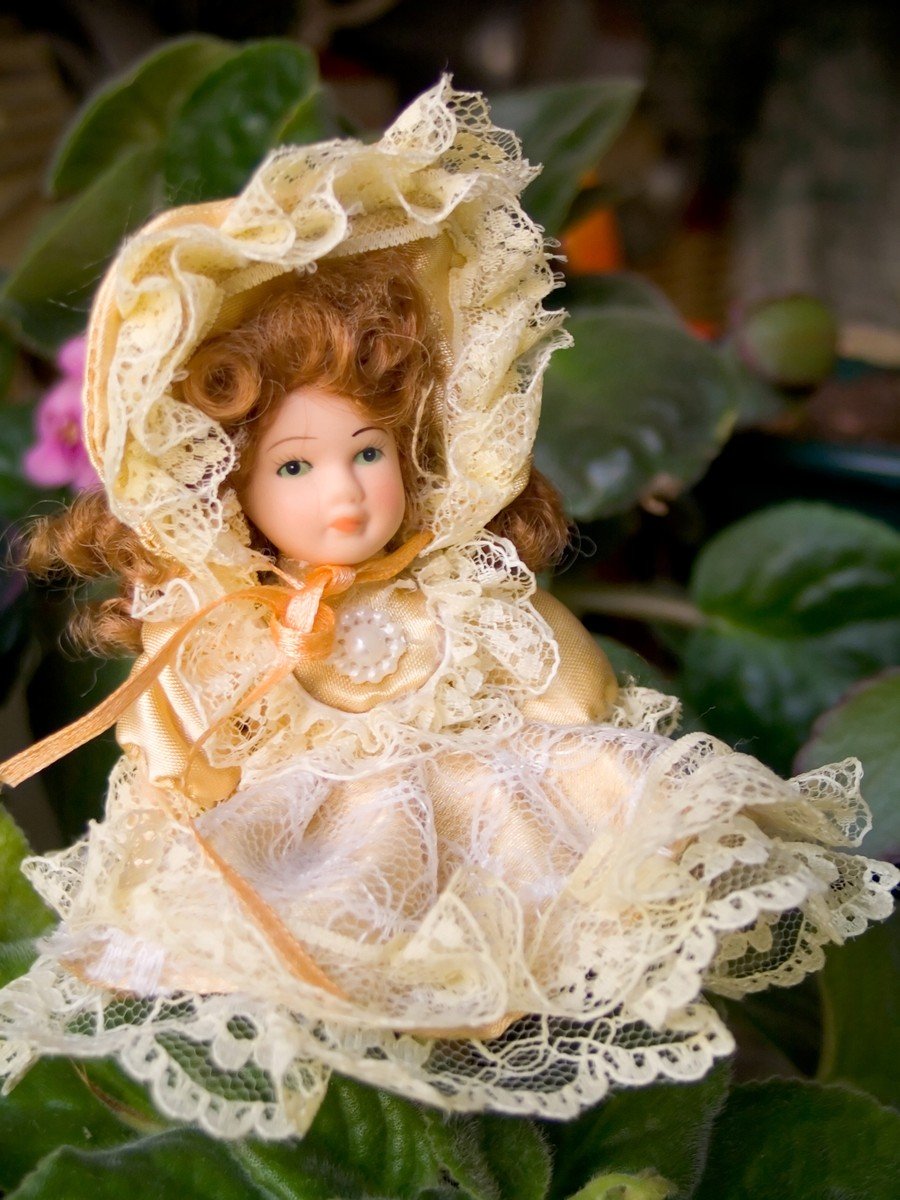 a doll dressed in a dress and bonnet on top of green plant leaves