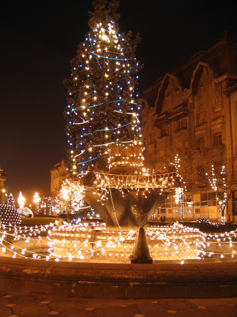 a christmas tree that is lit up in the night