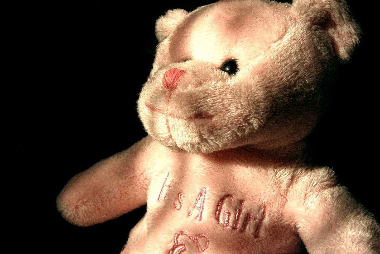 a brown teddy bear with pink nose and writing on its chest