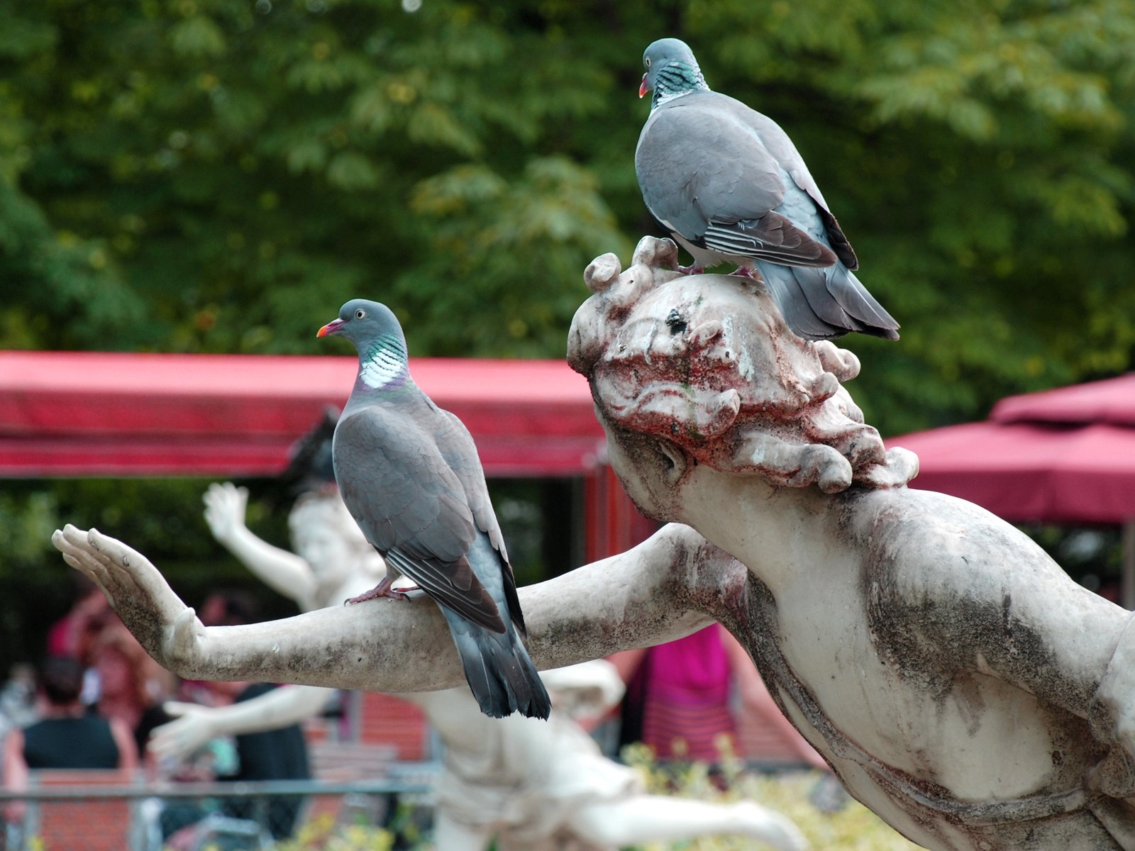 two birds sit on the palm of a statue