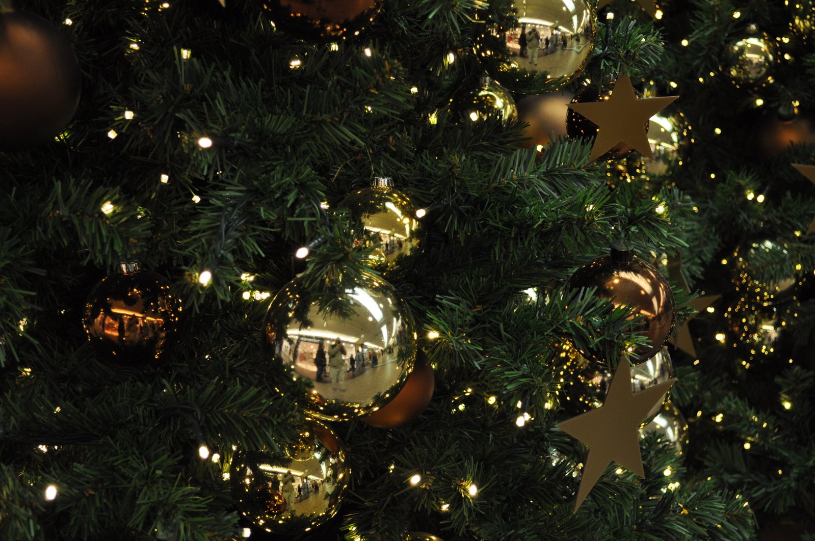 christmas decorations hang on a green decorated tree