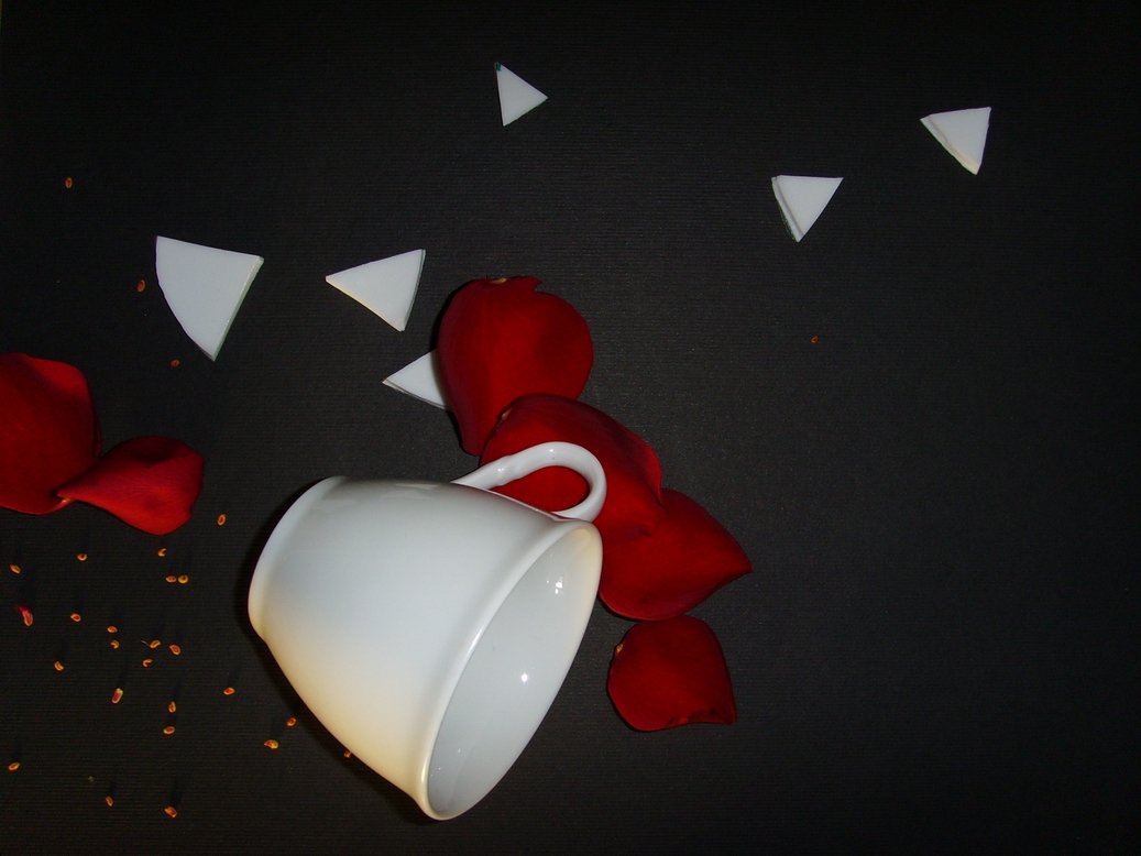 a white cup with some red petals on a table