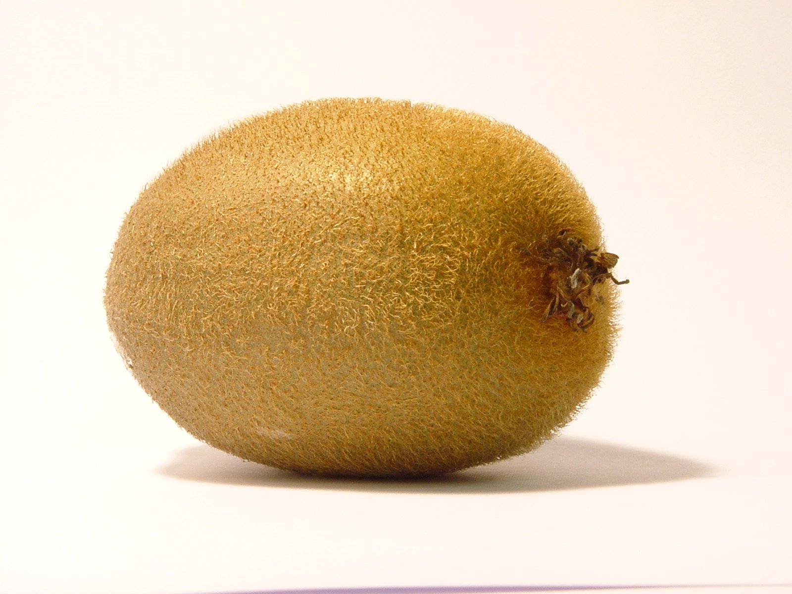 a large ripe mango with a bee in it