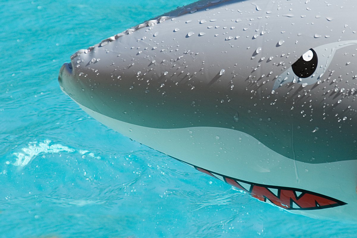 the giant shark is painted with a red and black stripe