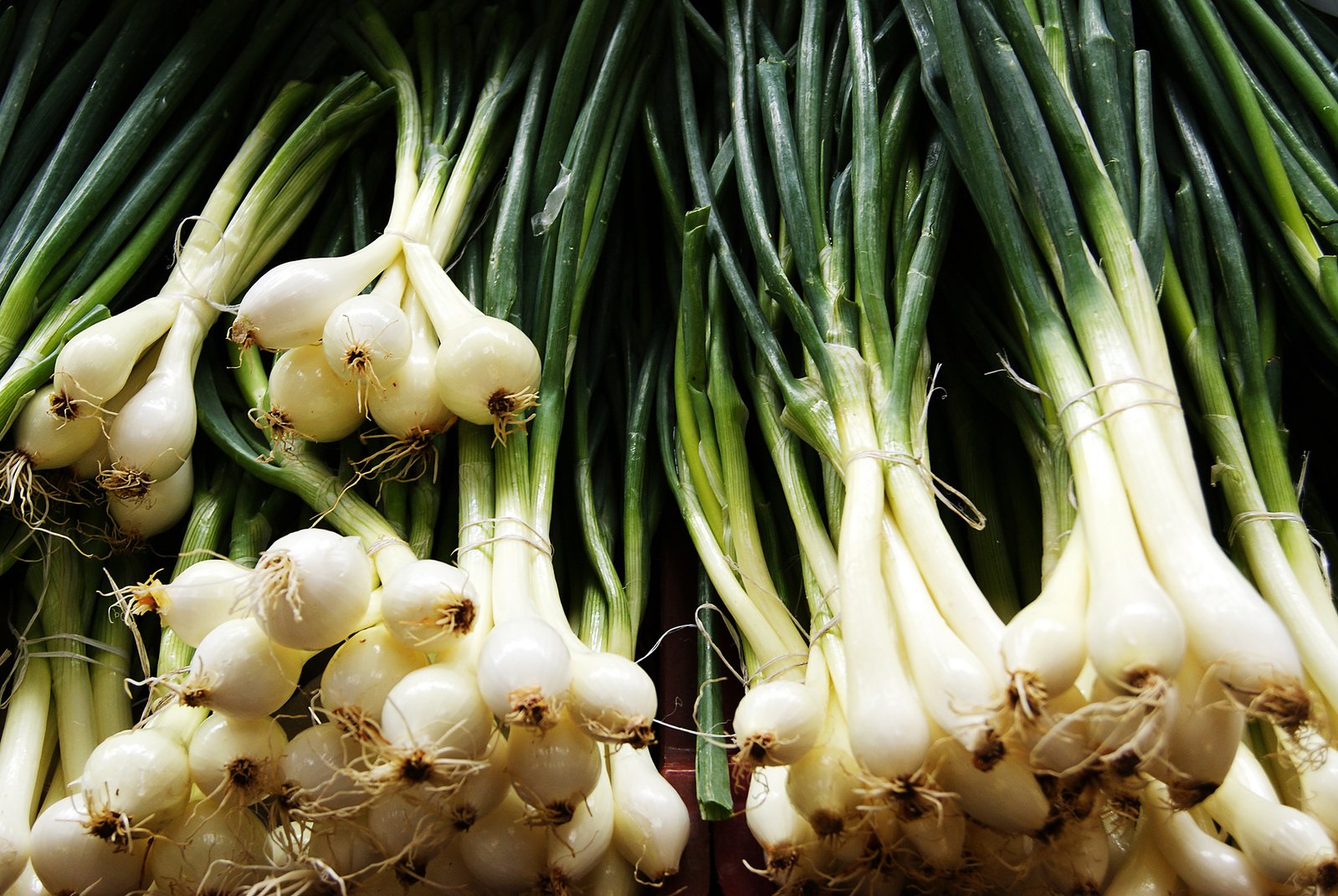 many green and white onions on display at a store