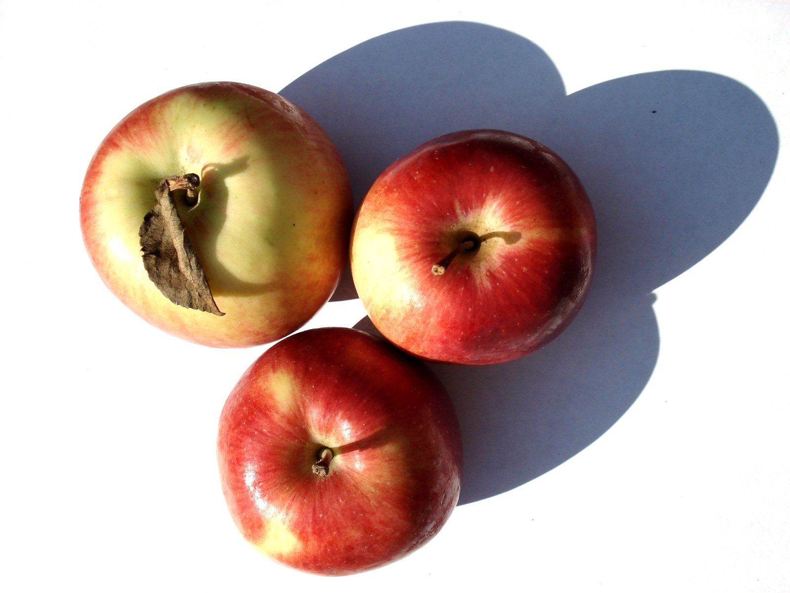 three apples that have been cut in half