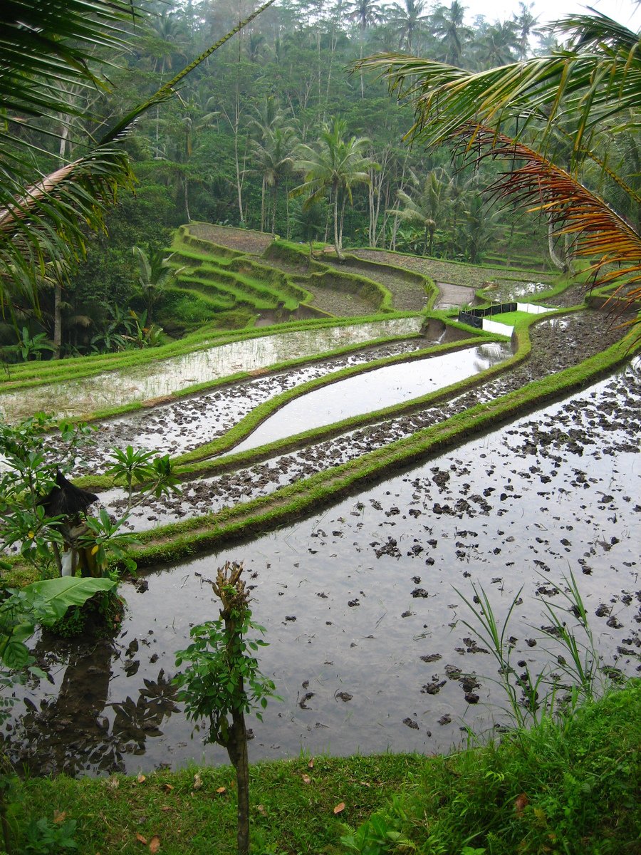 a picture from the rain in an asian country