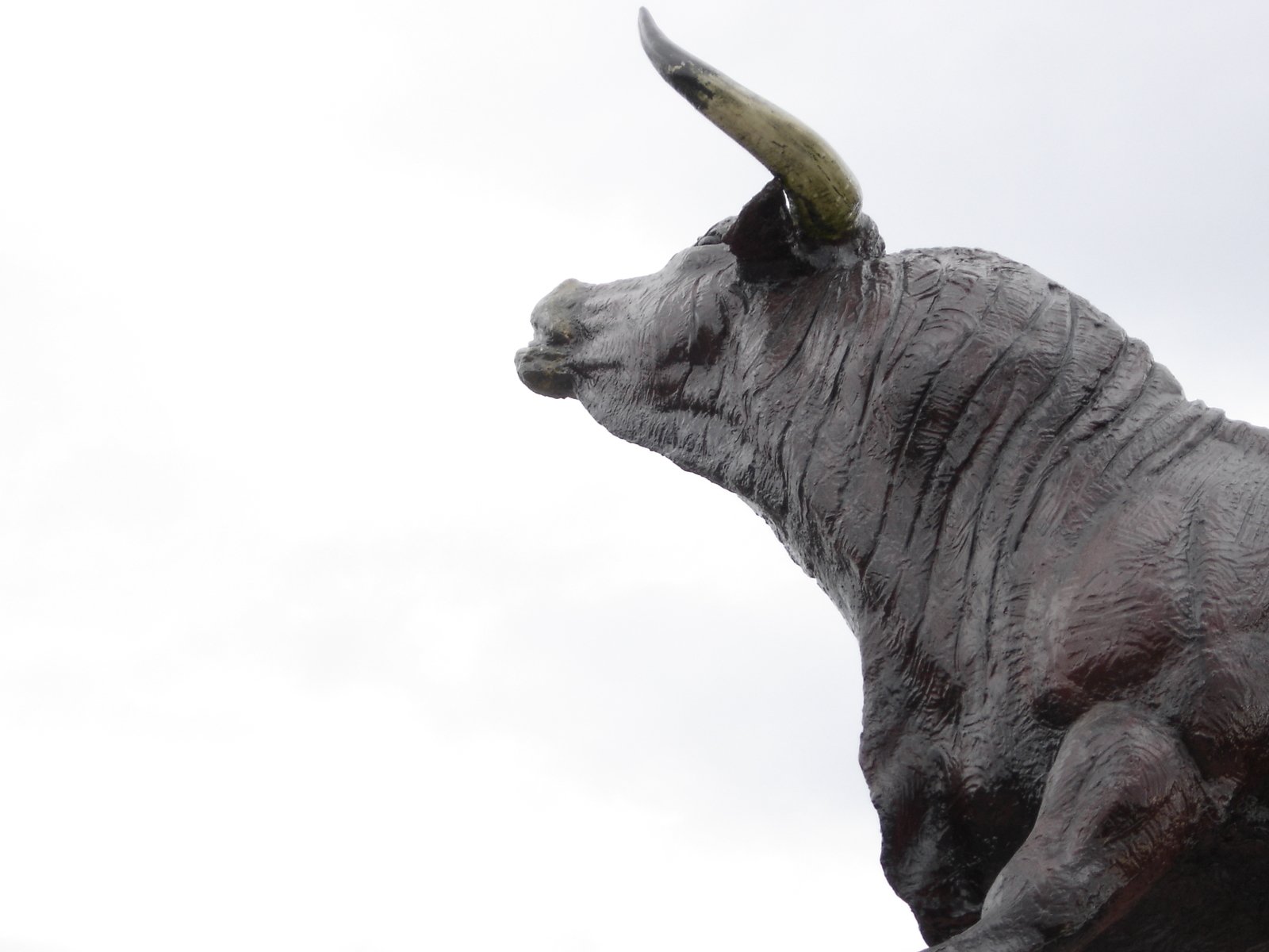 the statue of a bull is looking towards the sky