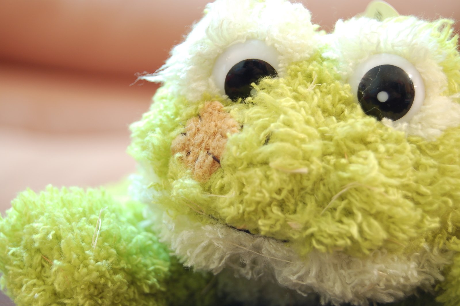 closeup of the plush animal that's stuffed with eyes