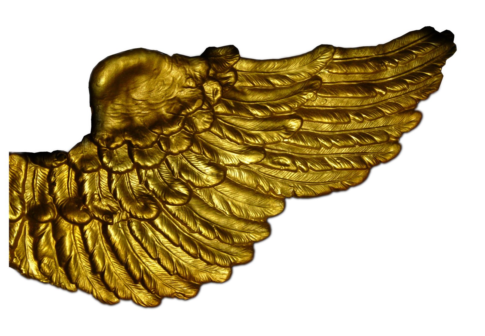 a golden winged object on a white background