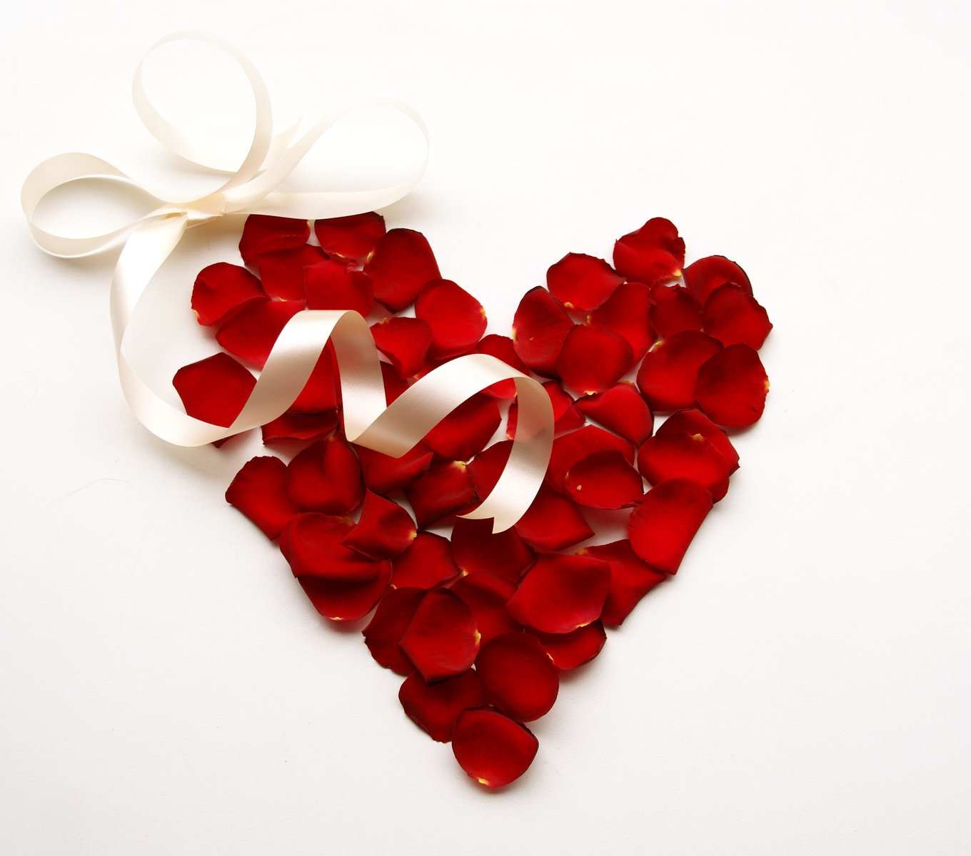 rose petals arranged in a heart shaped with white ribbons