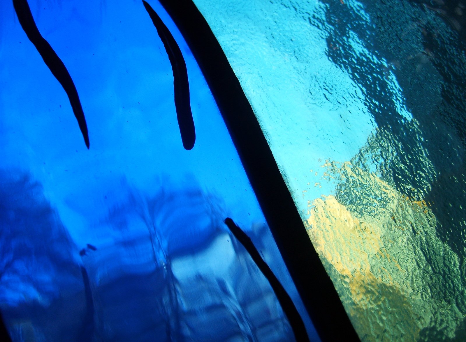 some blue and yellow glass with water reflecting them