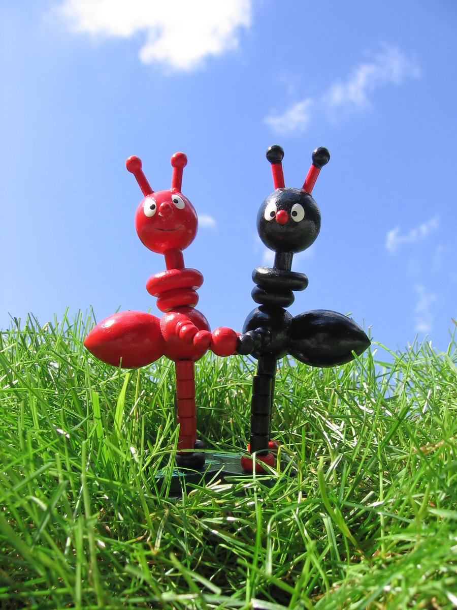 two toys made to look like bugs on a lawn