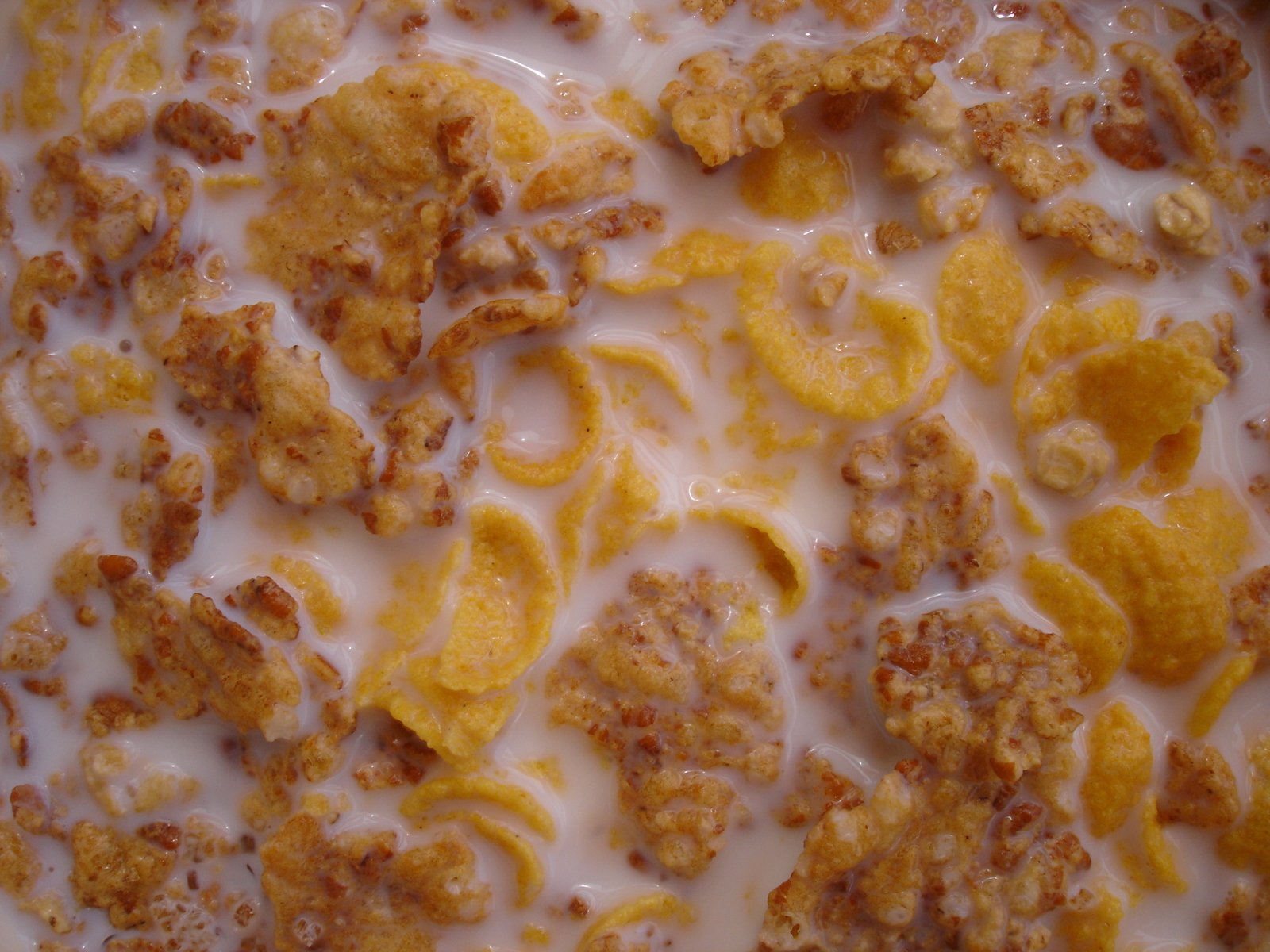 close up of cheese and other cereal toppings