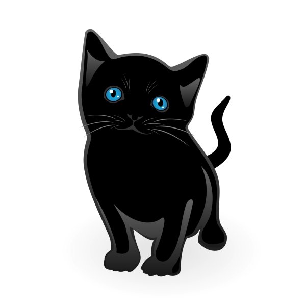 a black cat with blue eyes sitting down
