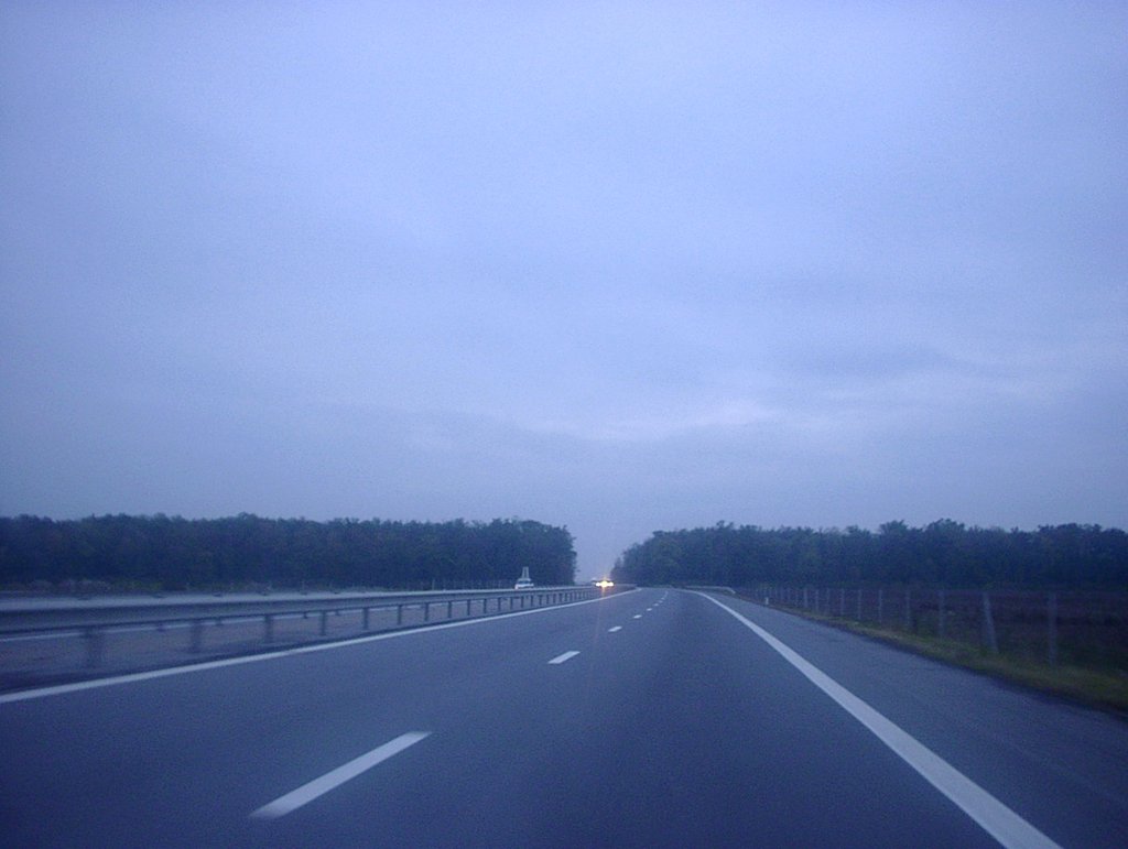 the view of an empty highway, with trees on either side