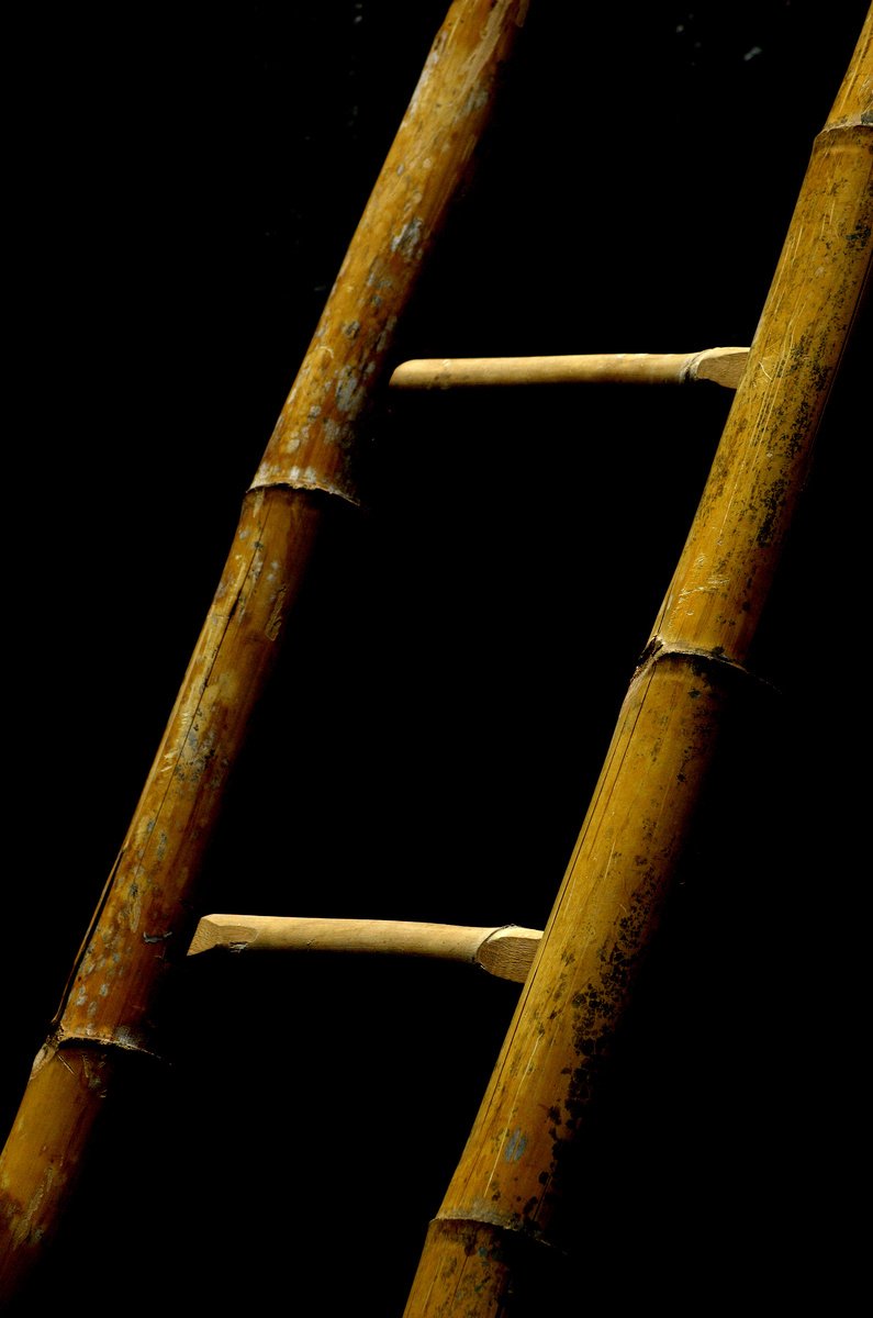 this is a bamboo ladder leaning against the wall