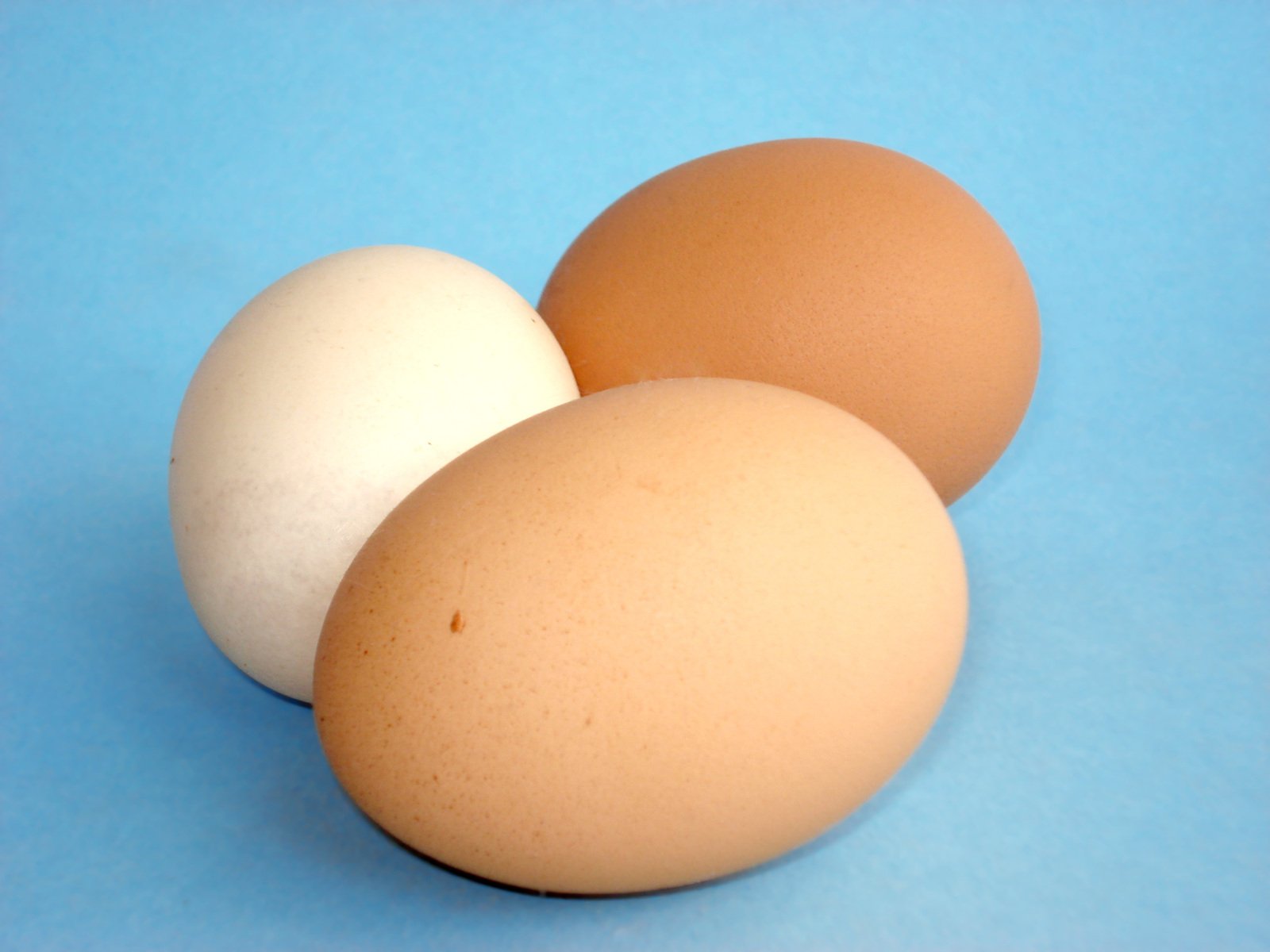 three eggs sitting in the middle of a blue background