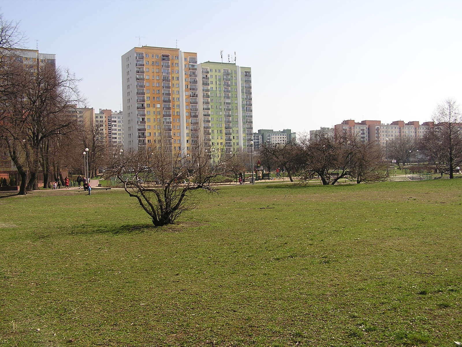 an empty park near a city park with some buildings