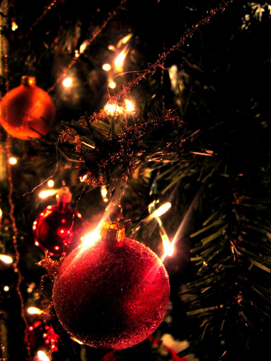 a red ornament on a christmas tree nch