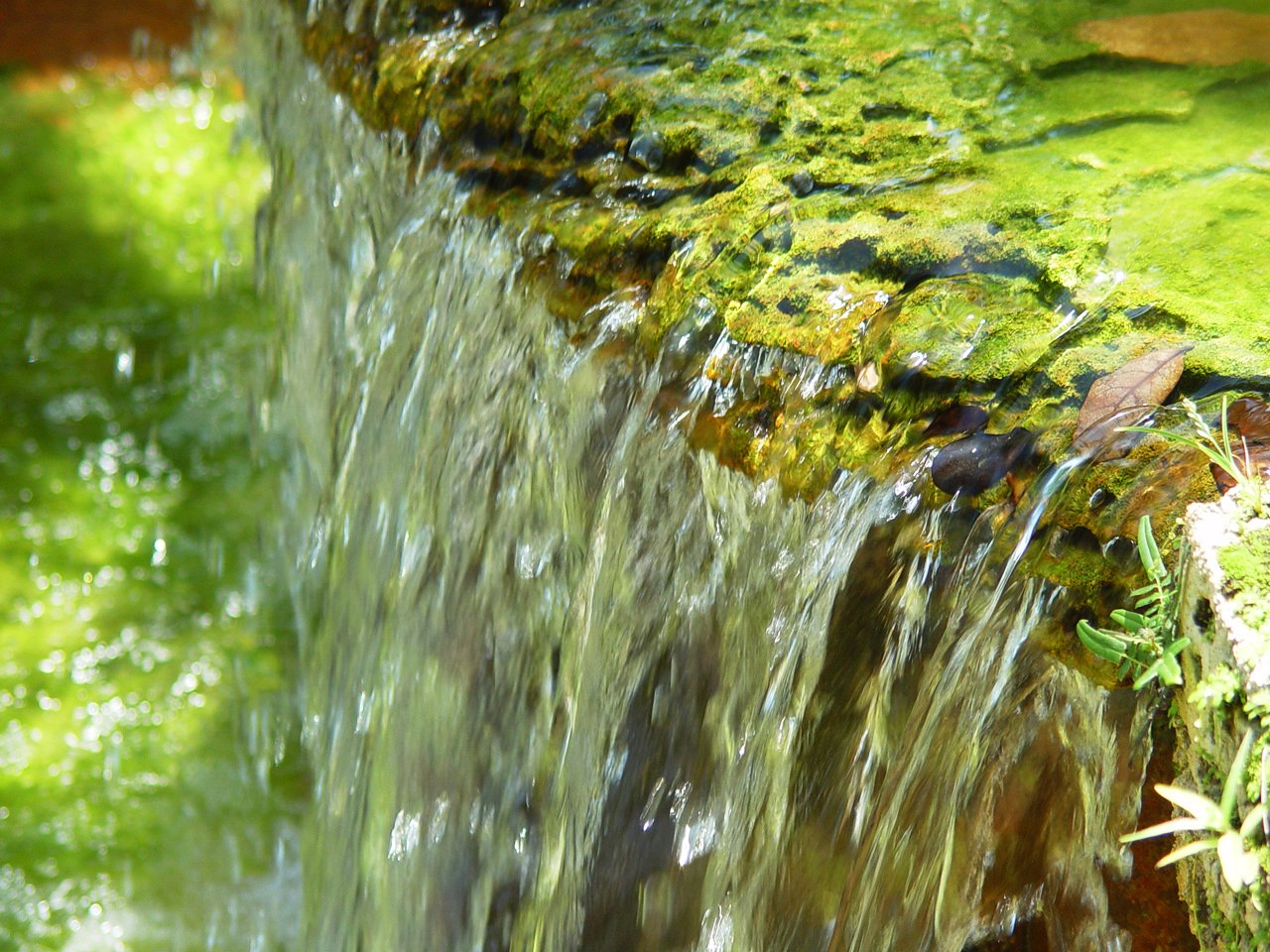 water coming out from a small pond and green grass