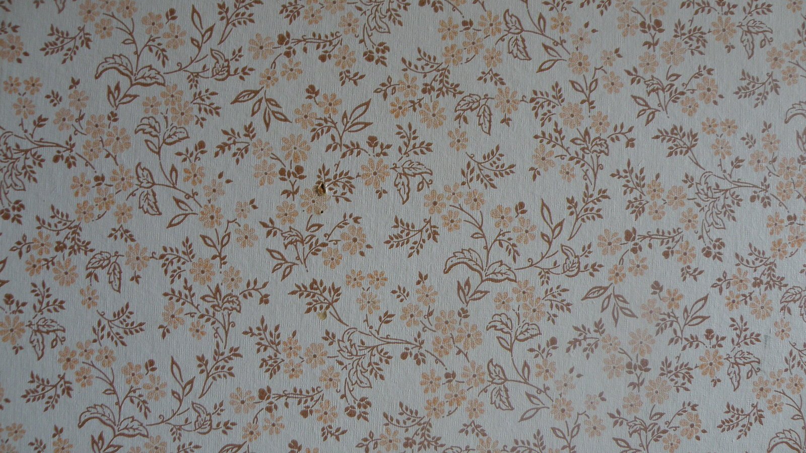 the flower pattern is on a wallpaper that is beige and brown