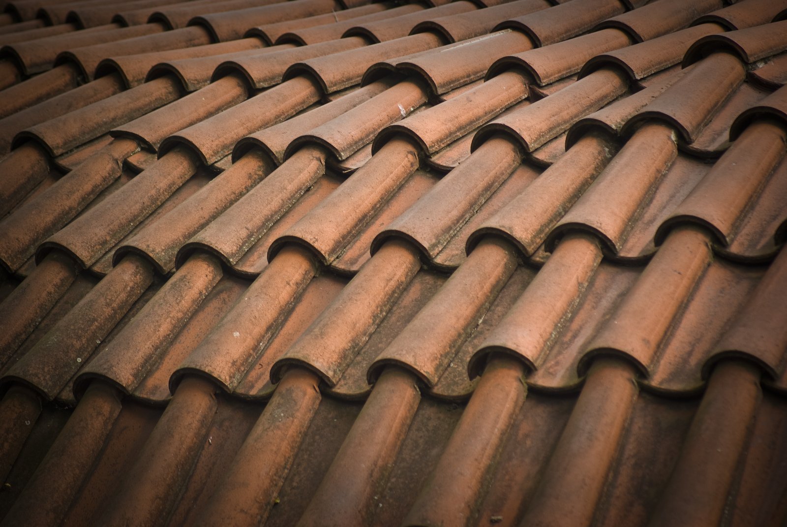 this is an image of rows of roof tiles
