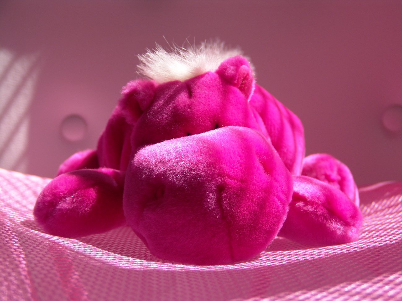 a pink teddy bear sitting on top of a cloth