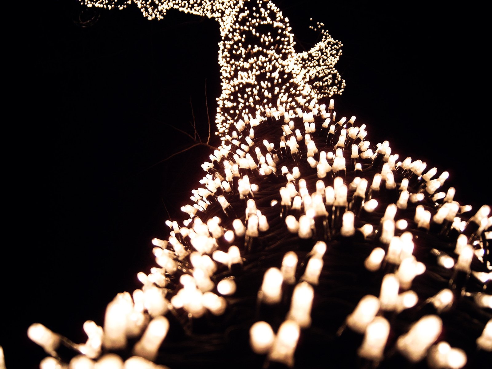 lights and trees are all decorated with fake fake white balls